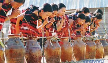 [Đắk Nông] những đặc sản nổi tiếng không thể bỏ qua tại Đắk Nông